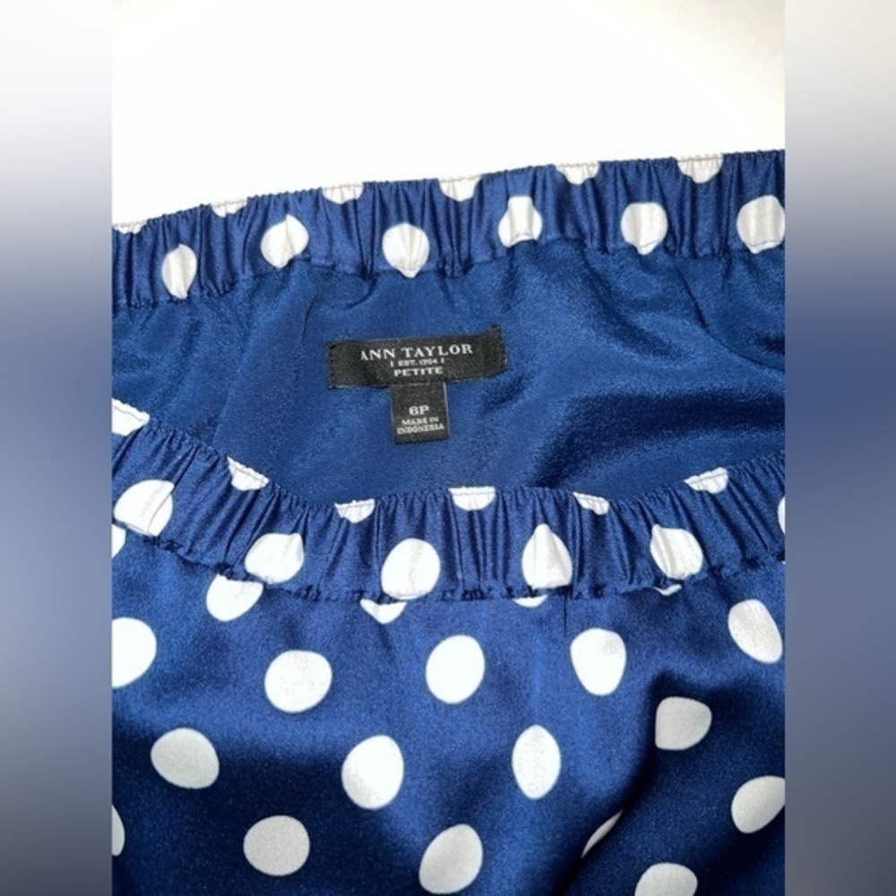 ANN TAYLOR - blue and white polka dot mini skirt - Picture 4 of 9